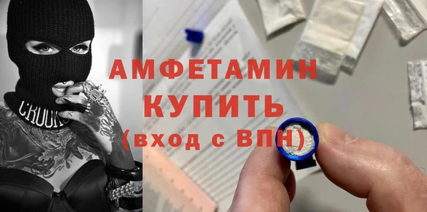крисы Абаза