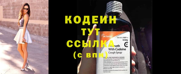 крисы Абаза