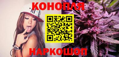 мдпв Пенза