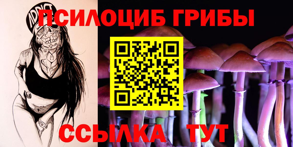 Галлюциногенные грибы Psilocybine cubensis Алапаевск